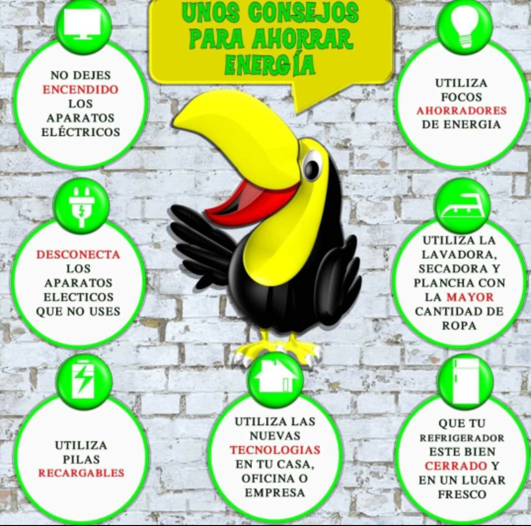 PAYITZINTLI's tweet photo. Comencemos nuestra propia reforma energética real, desde casa. 0 automóvil, recolección de agua de lluvia, calentador solar y paneles solares. https://t.co/kFbUlFe9Et