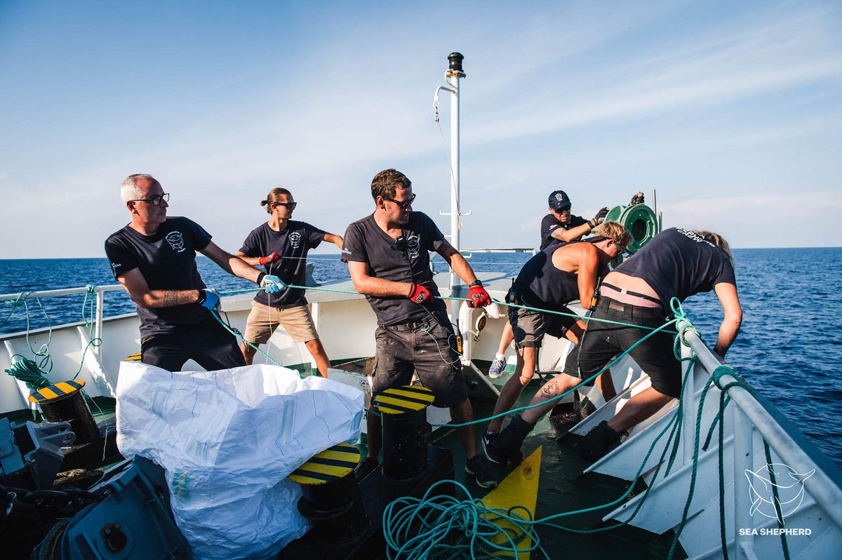 Sea Shepherd España tweet media