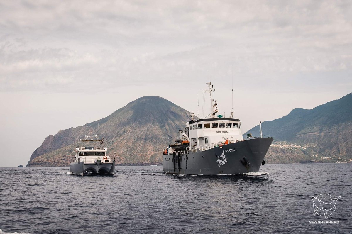 Sea Shepherd España tweet media