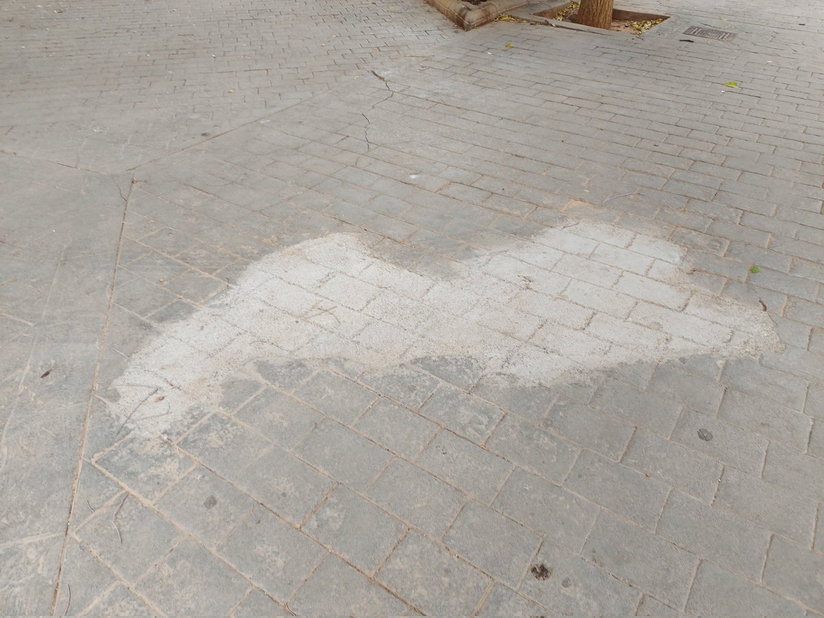 👉 Des des <a href="/popularespalma/">PP Palma</a> aplicam es fonament de sa política municipalista, a peu de carrer i al costat des ciutadà.
✔ Amb sa nostra proposta conseguim sa reparació de sa vorera de sa plaça de #SesVeles