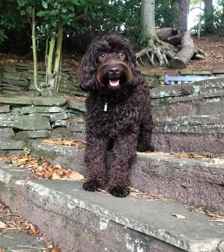 The only brown-eyed girl we need 🥰