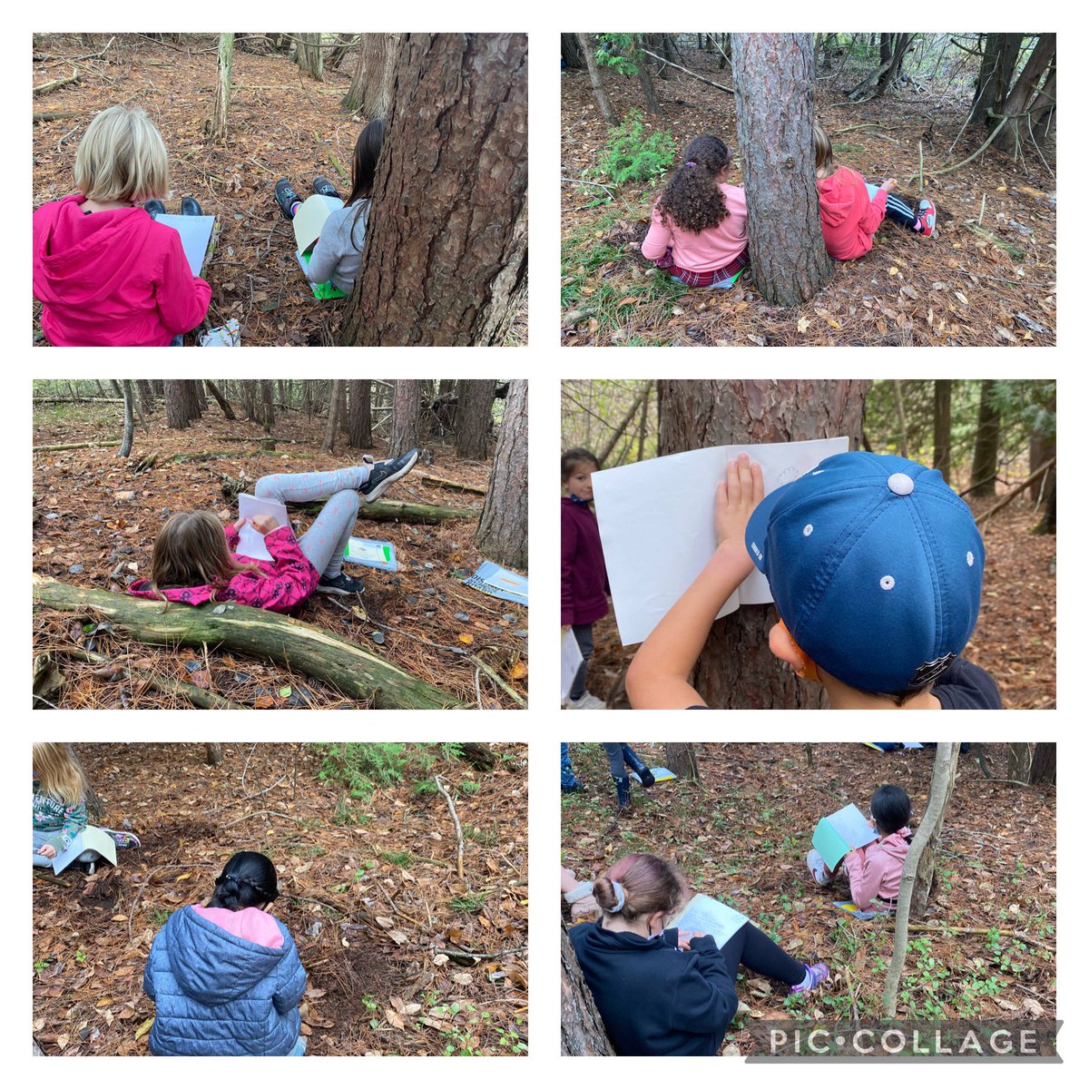 jfergusn's tweet photo. Nature Journaling #outdooreducation @AltonPublic @PeelSchools https://t.co/0dehhSbXy9