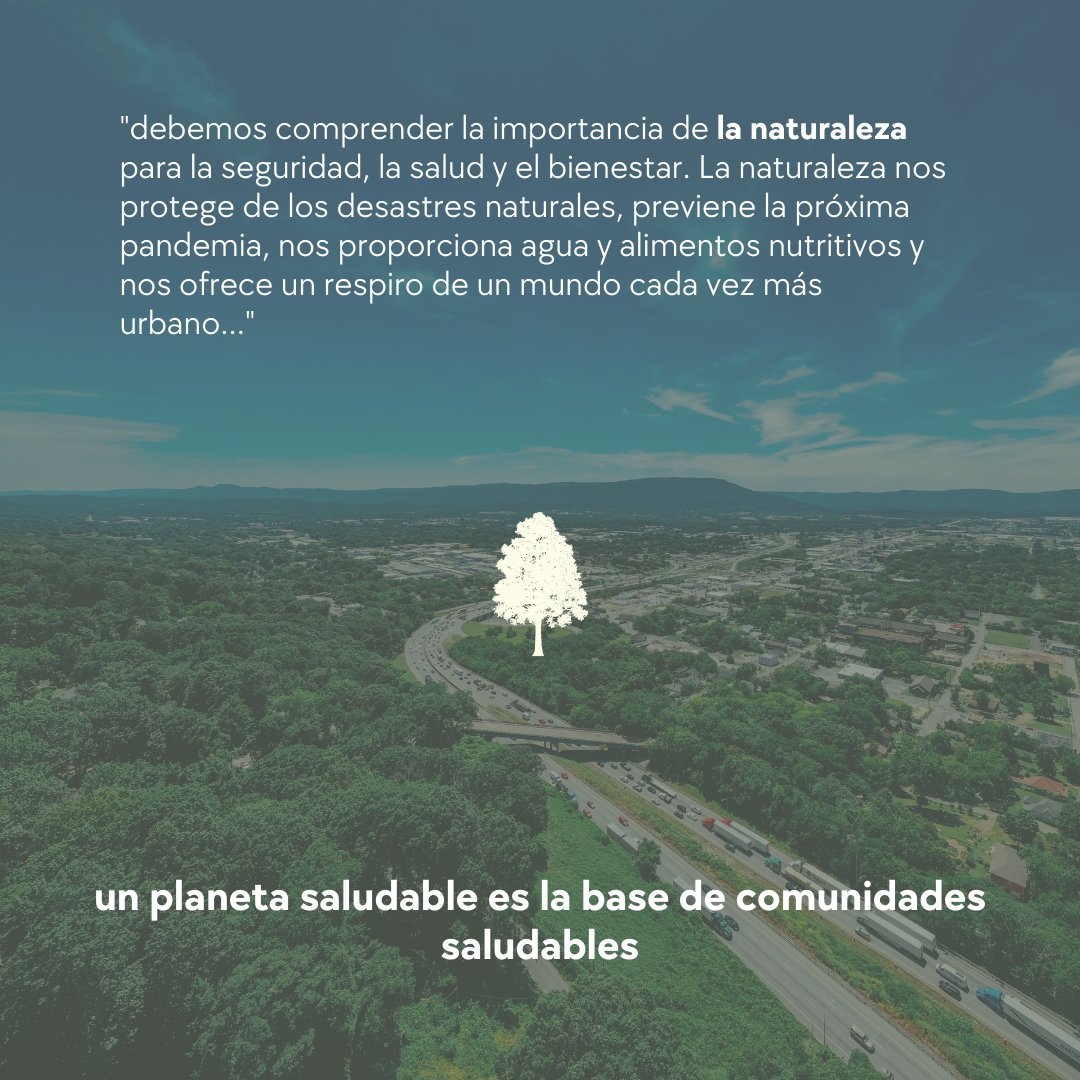 SomosReverdecer's tweet photo. "La biodiversidad y los ecosistemas saludables son esenciales para nuestra salud y bienestar, y la piedra angular de un “enfoque de salud único".

Artículo: El valor de la naturaleza para lograr los Objetivos de Desarrollo Sostenible por Eva Gurria https://t.co/01ilDzfinv