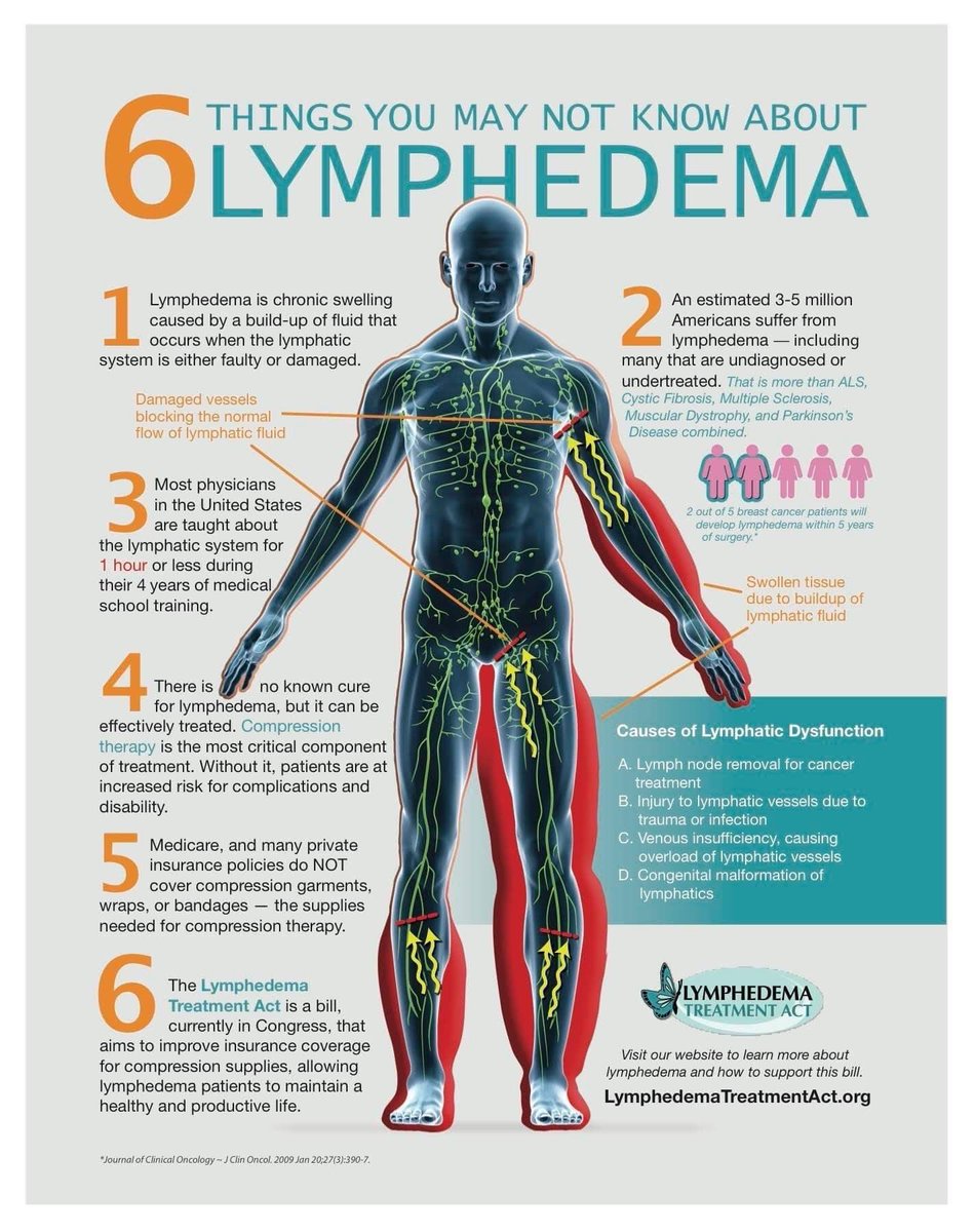 LymphieStrong's tweet photo. Honored and thrilled to announce that the @LymphedemaAct is now a formal collaborative partner of the #lymphiestrong community. 🦋🎗 https://t.co/X8JYvljy6c