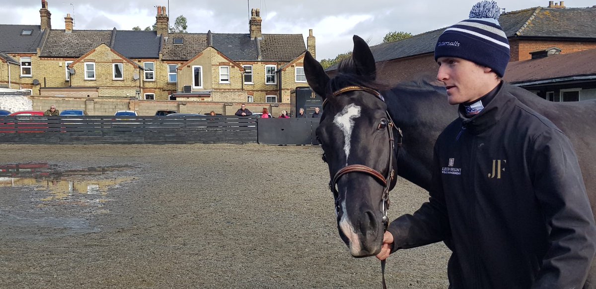 Diderot saying hi at the ownersgroup.co.uk stable visit to <a href="/jamesferguson89/">James Ferguson Racing</a> this week. First Folio also enjoyed the attention 👋🏻 🐎 #ownersgroup