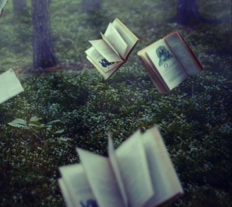 bazarculturalmx's tweet photo. Red Library (2014) por Zuzana Uhlíková
Insta: @zuzana.uhlikova
#ZuzanaUhlíková #RedLibrary #Fotógrafos #Fotografía #Arte #Artistas #Libros #Lectura #Lectores #rRepúblicaCheca🇨🇿 https://t.co/FNg1lOUCqD