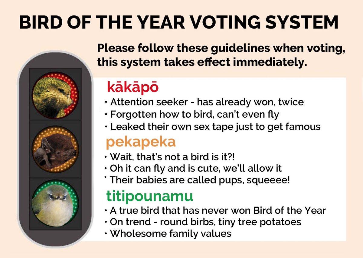TeamTitipounamu's tweet image. The new traffic light system may be confusing, so please allow us to simplify it for you.

#birdoftheyear #boty2021 #titipounamu #teamtitipounamu