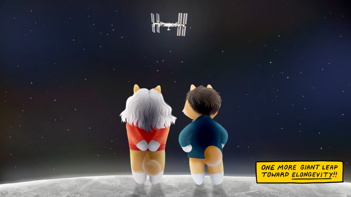 mfoundation's tweet image. Thanks to our collaboration with NASA’s Vascular Tissue Challenge, support from @ISS_CASIS &amp;amp; a generous donation from the @DogelonMars community, @WFIRMNews’s Antony Atala’s experiment will be heading to the @Space_Station! #elongevity #DogelonMars @VitalikButerin @elonmusk