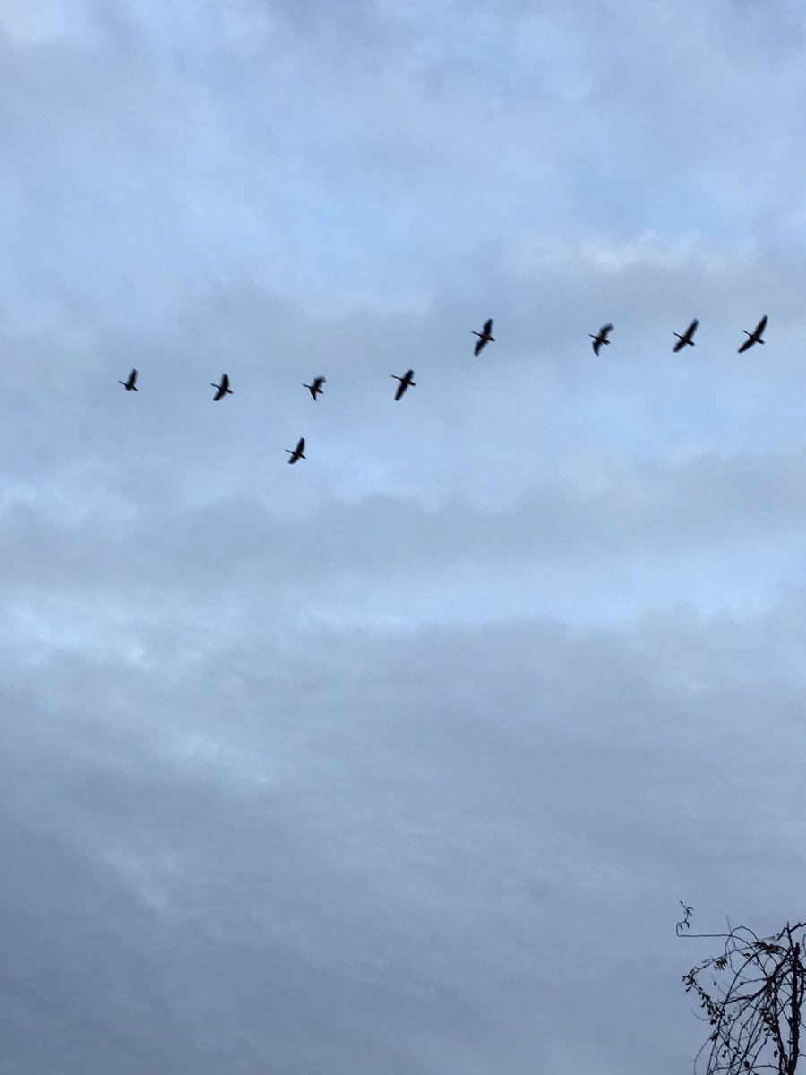 ReadieRighteous's tweet photo. Hey! Where y’all goin’? Get ready to migrate to 103.3 fm and https://t.co/HwL8A9QwIw at 5pm ET for Recherché with Readie! First day of the WPRB membership (quiet) drive to keep freeform radio-as-art alive! #wprbdrive https://t.co/go1xrJPDye