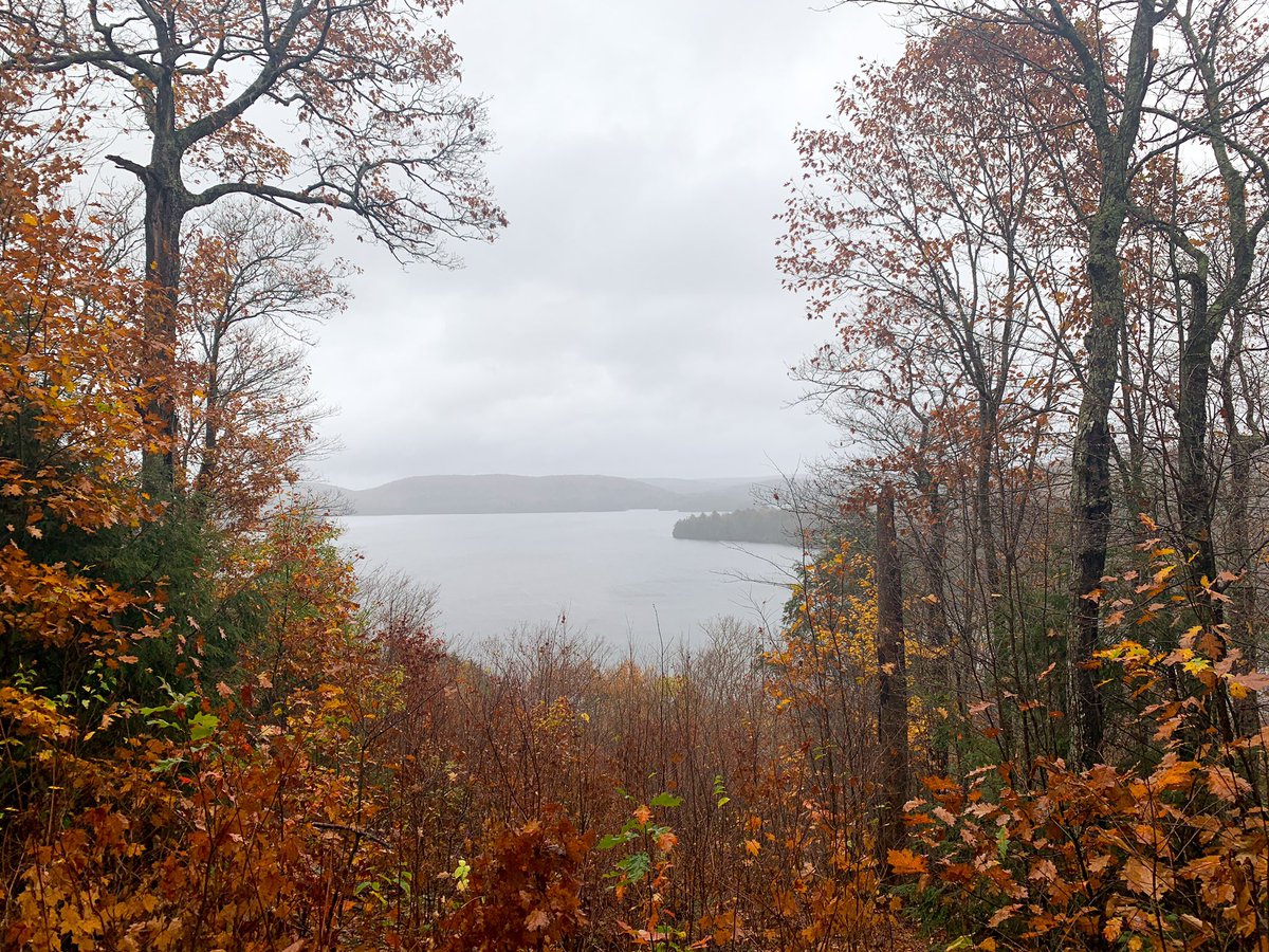 Algonquin in the fall.