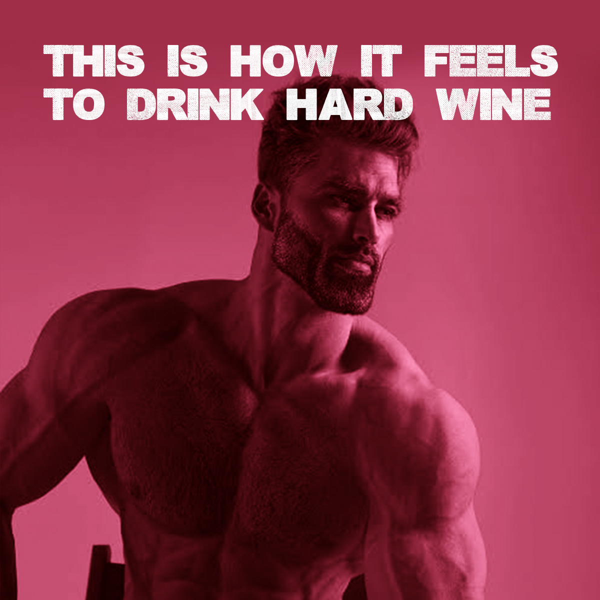 correiashrdwine's tweet photo. This is how my S/O says I look after a bottle of Hard Wine 😛, wbu? #correiashardwine #CHW #gohard #memes #powertoperform #fun https://t.co/voz8tJaQND