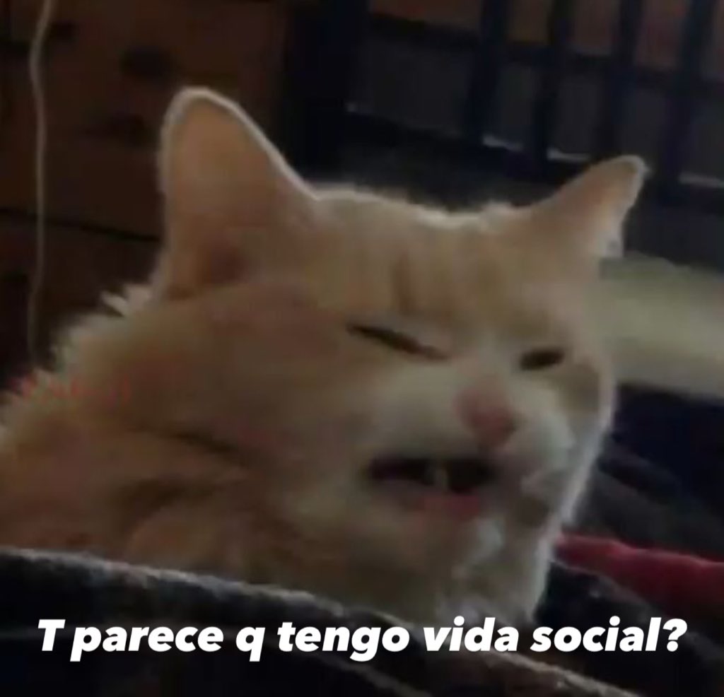 Alguien: ¿Qué harás hoy?

— Yo: