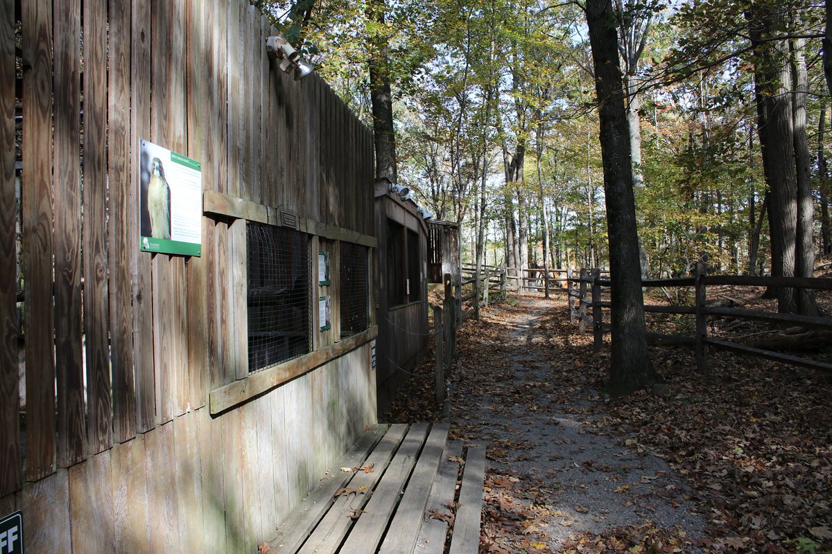 Our Raptor Loop will be CLOSED to the public Oct 23, 24, 30, and 31 during our Enchanted Forest programs. We apologize for any inconvenience and ask that all visitors be respectful of this special event when it’s going on. The Raptor Loop will be open dawn to dusk on weekdays.