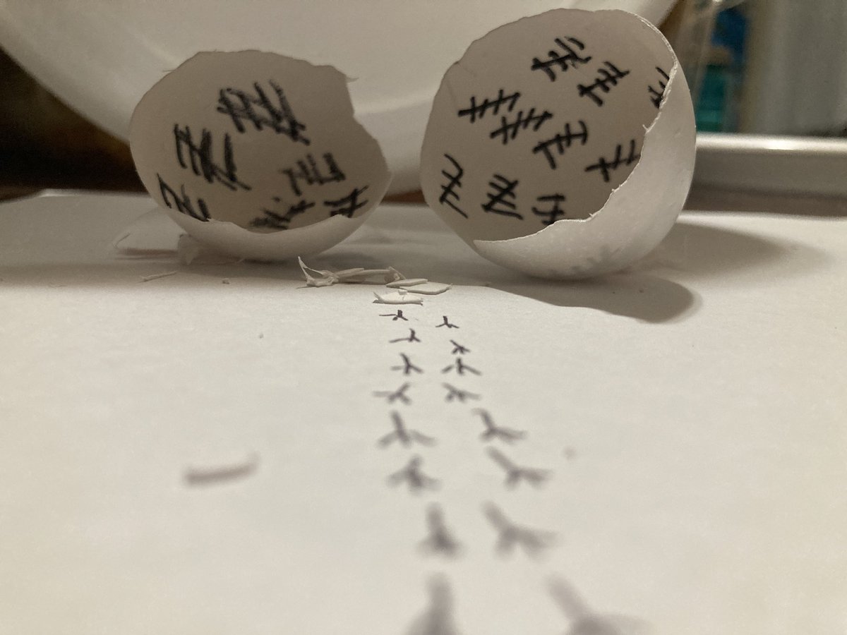 #egg #photooftheweek by Antoine, Brenda and Naylah