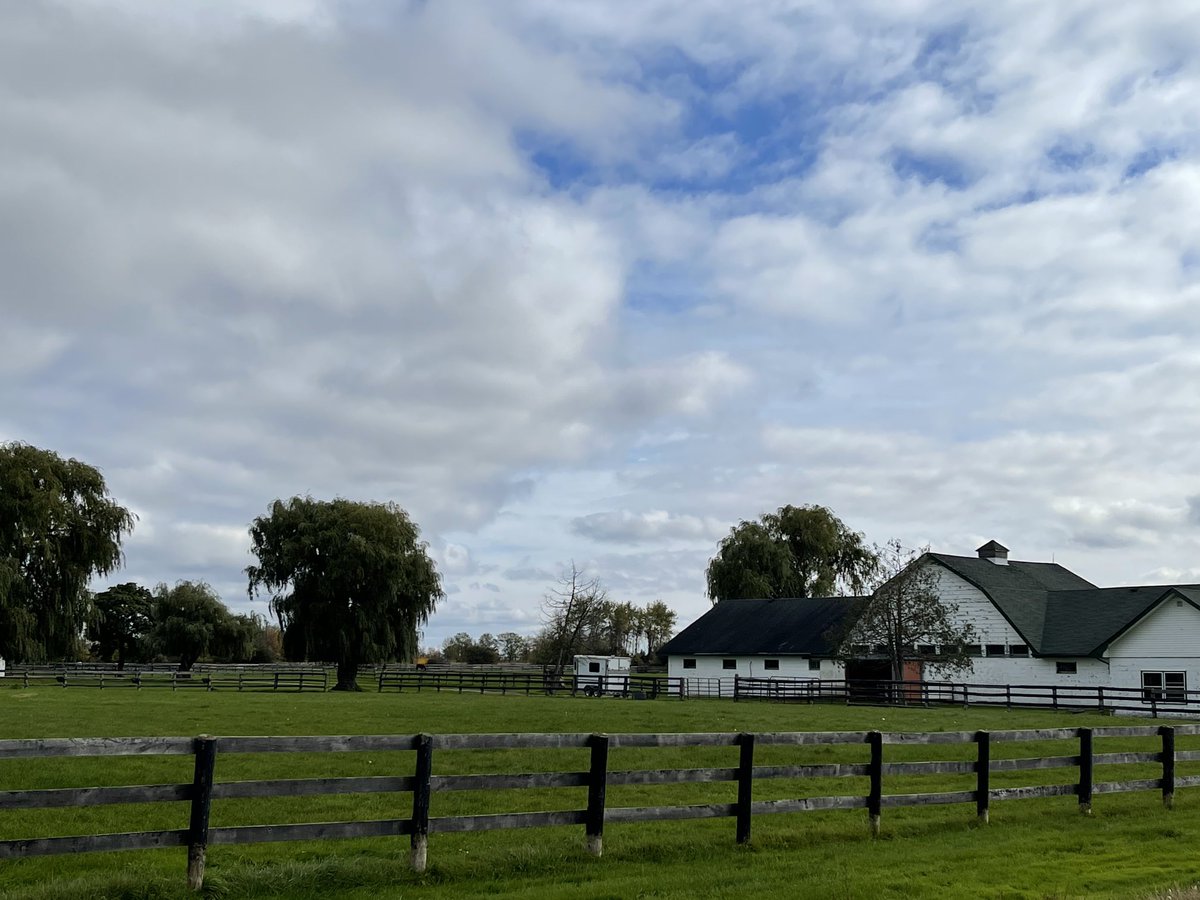 marilyniafrate's tweet image. This is the Provincially Identified Prime Farmland aka whitebelt that ⁦@YorkRegionGovt⁩ voted yesterday to destroy all 1200 ha in Vaughan to accommodate future growth but question remains “did we really need it all?” ⁦@envirodefence⁩ ⁦@TorontoStar⁩