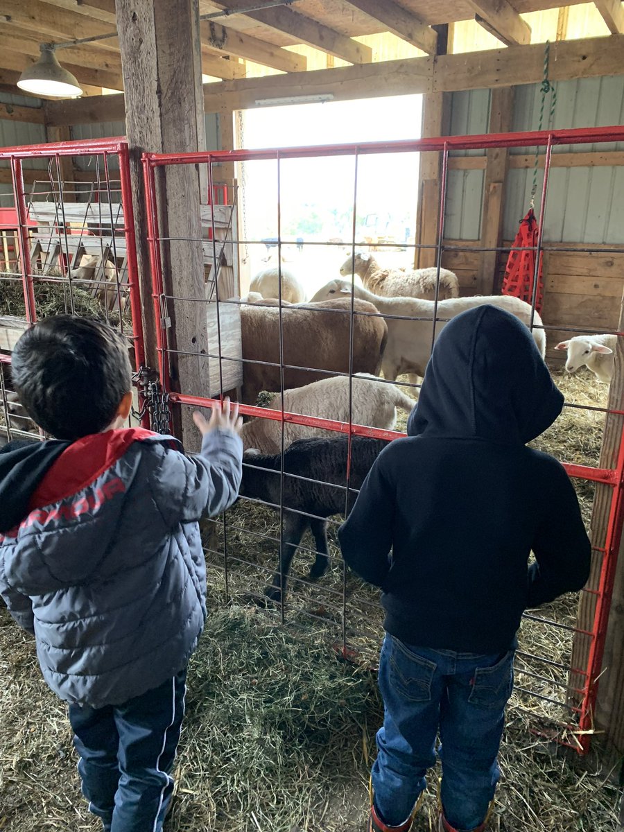 polandschools's tweet photo. The @esceasternohio Preschool in Poland took a field trip to Countryside Pumpkin Farm today! 🧡🎃 https://t.co/ayp47egSNb
