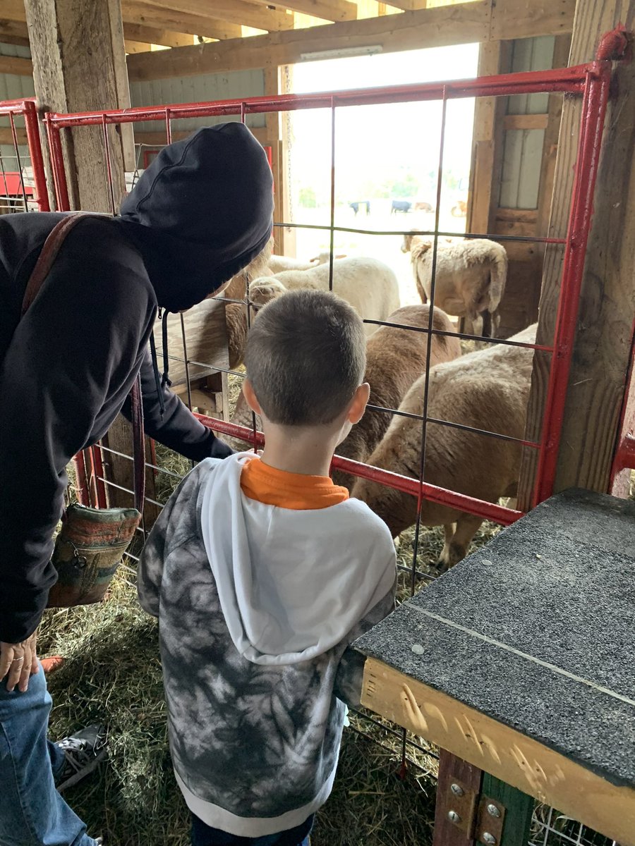 polandschools's tweet photo. The @esceasternohio Preschool in Poland took a field trip to Countryside Pumpkin Farm today! 🧡🎃 https://t.co/ayp47egSNb