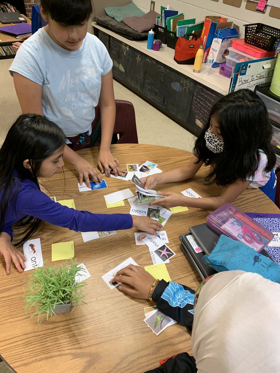 LessonsWithMsC's tweet photo. Categorizing animals.  Team work. #5thscience  @R_M_Moore_Elem https://t.co/y3kn0SN7gt