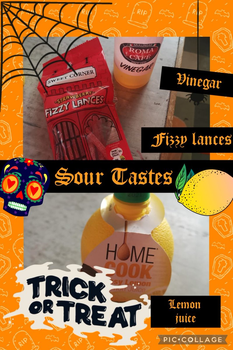 PatrickswellNS's tweet photo. Great fun with our Halloween themed trick or treat taste test!! I think you can tell by our faces we had many tricky tastes of sour an bitter among our sweet treats!! Happy Halloween!! ๐๐ฆ๐ป #STEM #SFI #SCIENCEFOUNDATIONIRELAND #senseoftaste https://t.co/ala3QHwRbe
