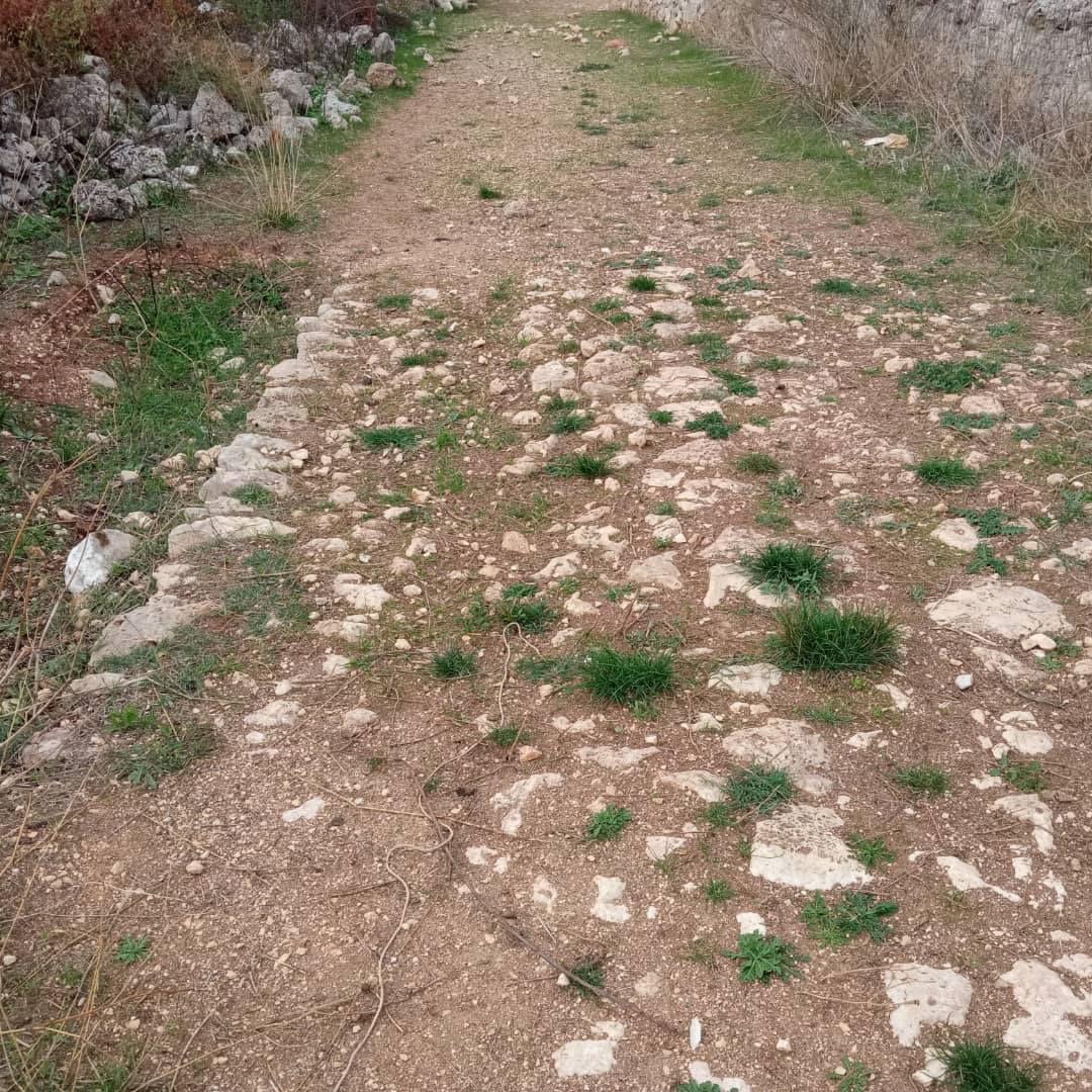 Italia_Nostra's tweet photo. #Appiaanticaapiedi #ultimatappa E' al termine il cammino di Giulio Ielardi, il fotografo che dal 26 settembre sta percorrendo a piedi la via #Appia da #Roma a #Brindisi documentando il cammino sui social. Non cessiamo di seguirlo nemmeno oggi su fb e instagram: apiedilungolappia. https://t.co/8ttYIDaW23