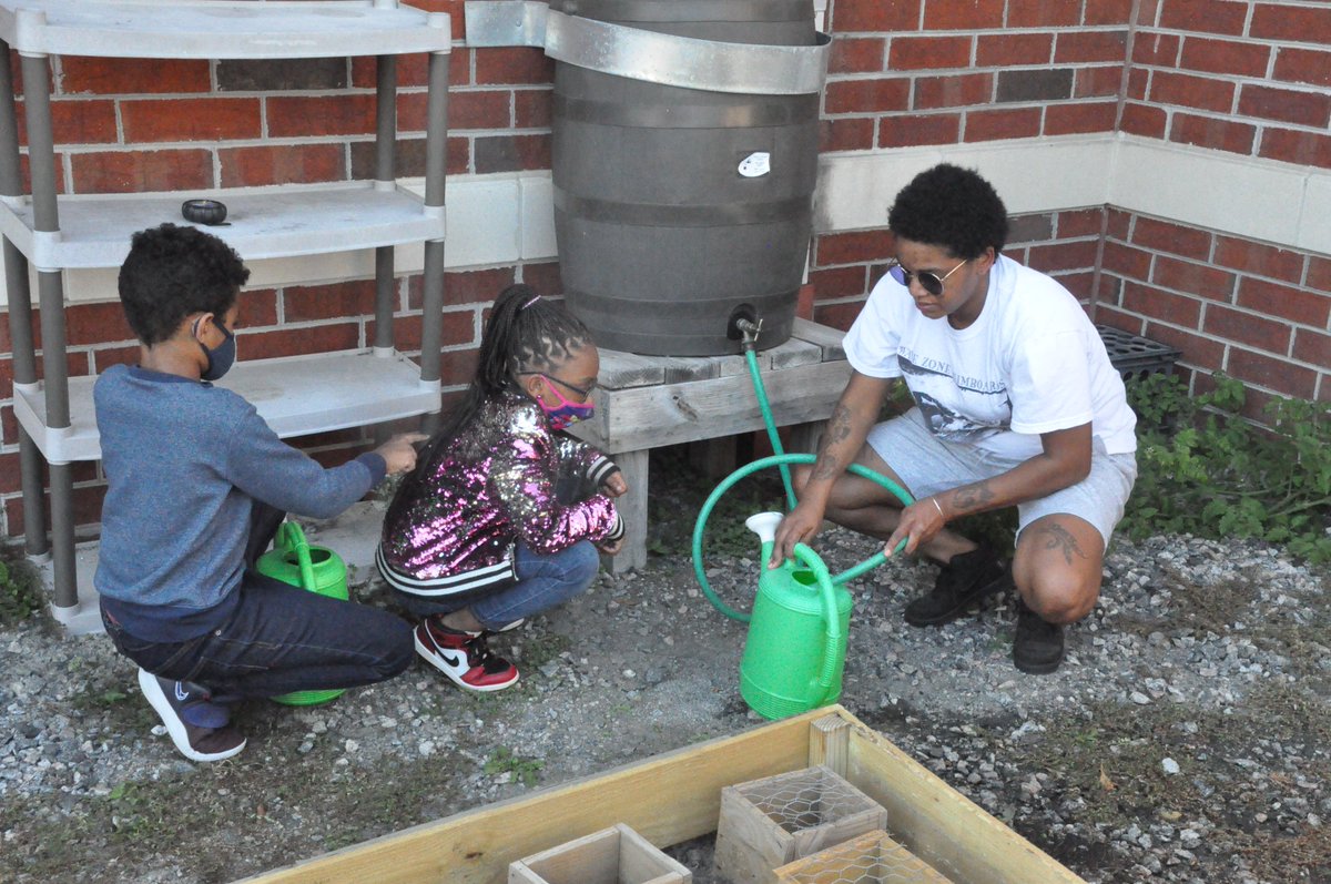 KevinRickard4's tweet image. The Water Brigade waters the radish and carrot seeds they just planted. @WilsonTishia @vbscratch #vbalwayslearning