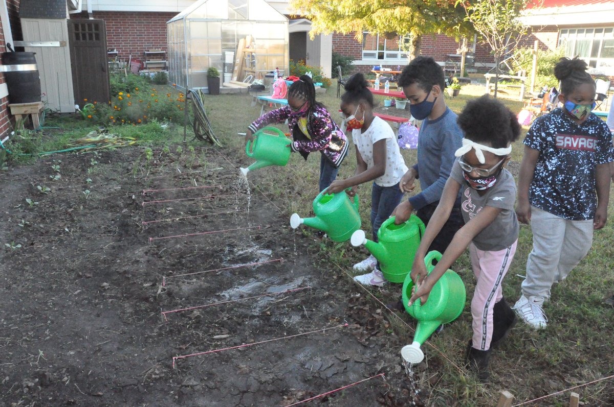 KevinRickard4's tweet image. The Water Brigade waters the radish and carrot seeds they just planted. @WilsonTishia @vbscratch #vbalwayslearning