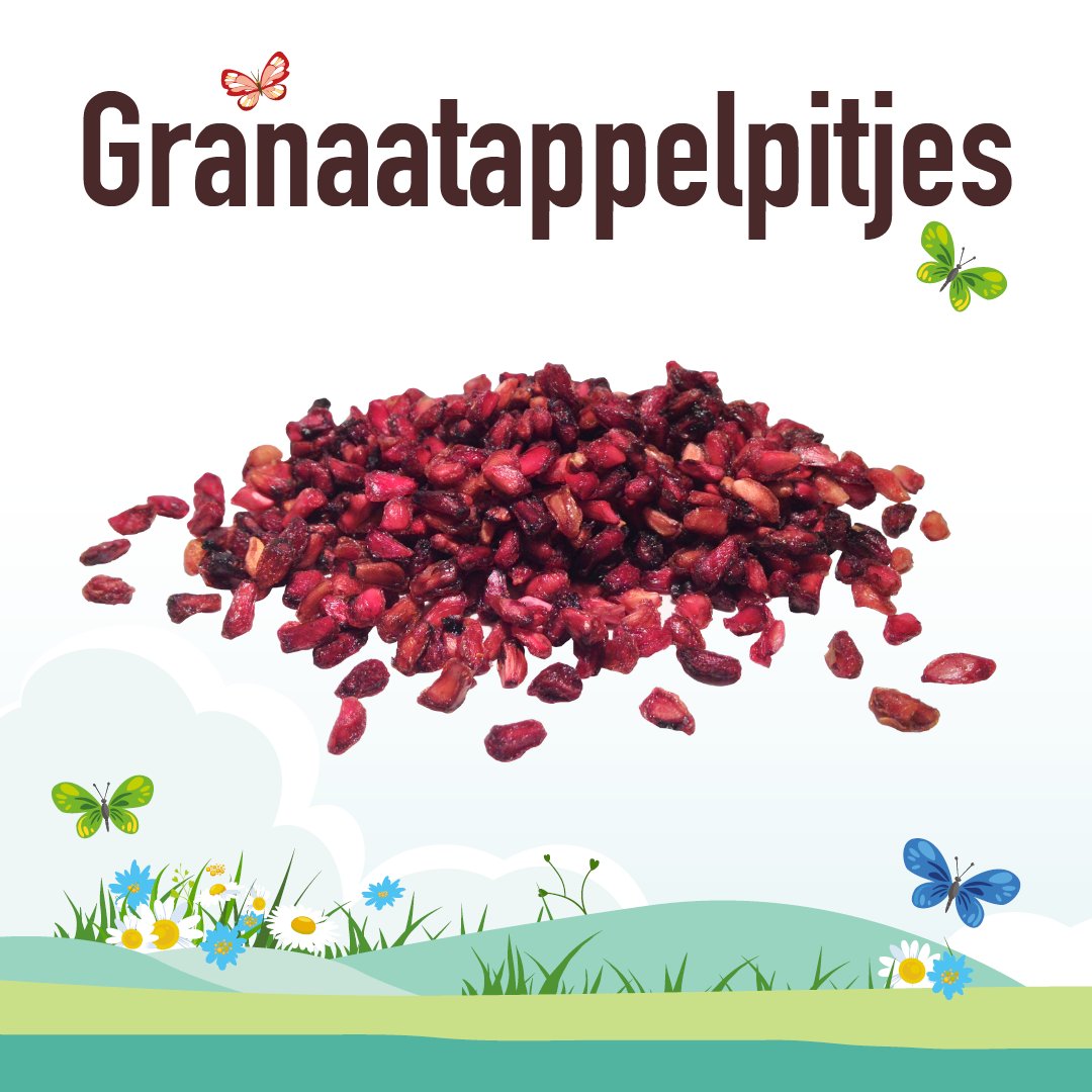 De granaatappel is een wereldwijde oudgediende &amp; zeer gewaardeerde lieveling. Wil je weten waarom? Lees het op onze website! 

greenage.nl/granaatappelpi…