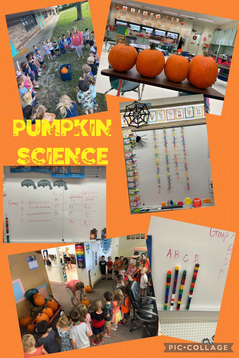 We looked at pumpkins to see if they were 🟠or 🟧, bumpy or smooth, and hard or soft! 🧐 We then weighed them, measured their height and checked to see if they would sink or float!🎃We wrote our data on the board!📓 #vcsvpk #vcsscientists <a href="/FickShannon/">Shannon Fick</a> <a href="/Tara22092536/">T. Miller</a> <a href="/dmpeddicord/">dmpeddic</a>