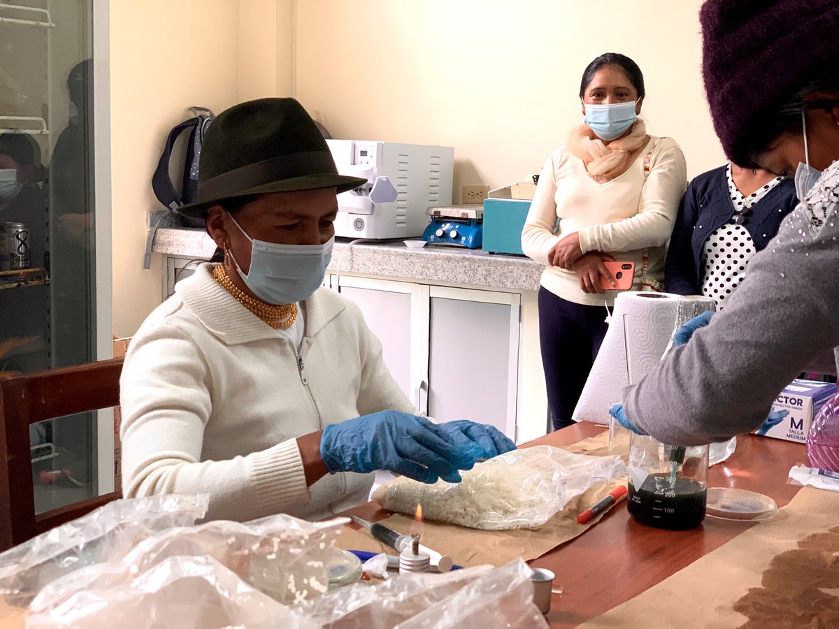 La #agroecología una apuesta por la sostenibilidad, desde el Centro de Transferencia de Tecnología @Maquita_Cjusto se desarrolló un taller dirigido a mujeres y hombres de tres comunidades de Cangahua en uso de biocontroladores como agentes fitosanitario de plagas y enfermedades
