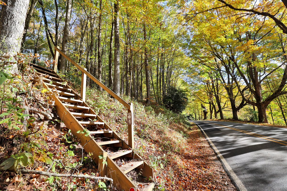 BlowingRock_NC's tweet photo. Photos from Shulls Mill Road today. The stairs are along the NC Mountains To Sea trail, which crosses the road by the row of old gnarly maple trees. A great view, we hope you all have a safe, relaxing weekend!
#fall #leaves #dailyfallphoto https://t.co/W9JQEEpFYL