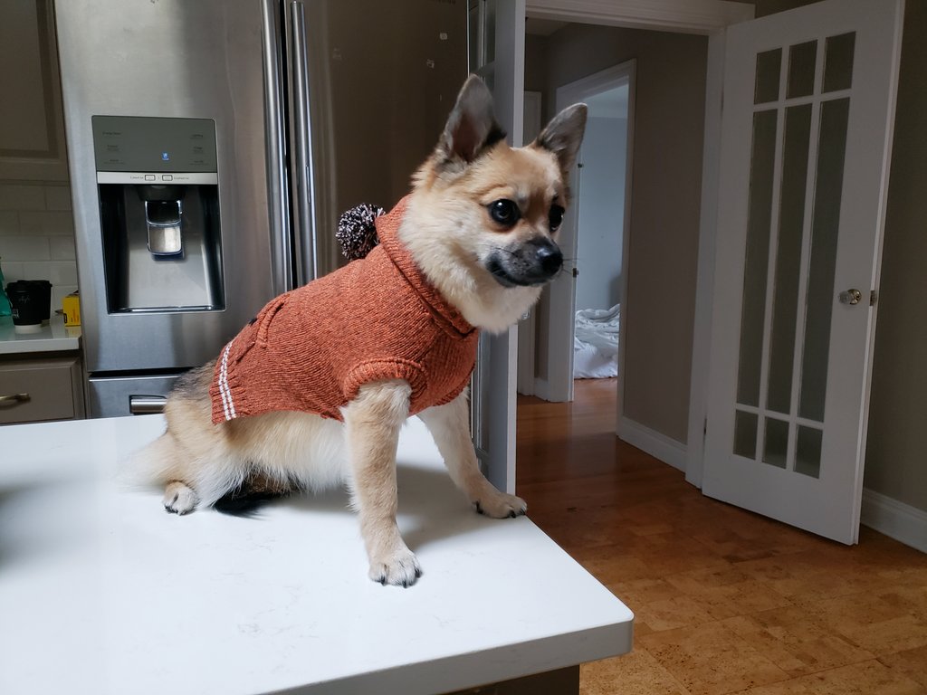 (points at her) shrimp