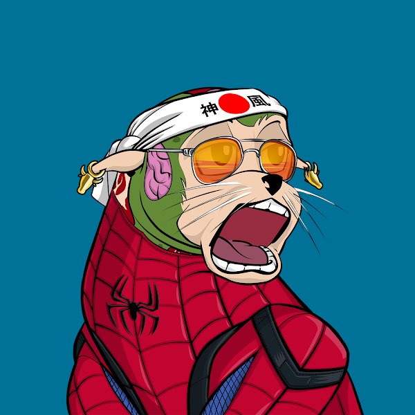 I like @rebelsealsnft , just got one spider seal.
#NFT