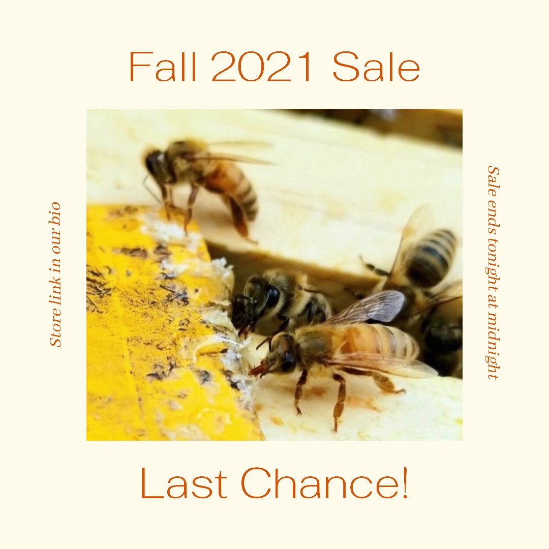 OUBeeClub's tweet image. Our fall sale is about to end. Be sure to grab all our great goodies before they’re gone! Link in bio 🐝