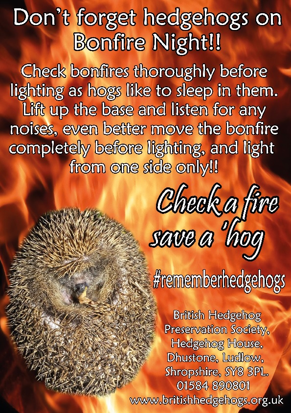hedgehogsociety's tweet photo. #bonfirenight will soon be here - please #rememberhedgehogs and please share to encourage friends to look out for them too. https://t.co/UOZn0QM3m0