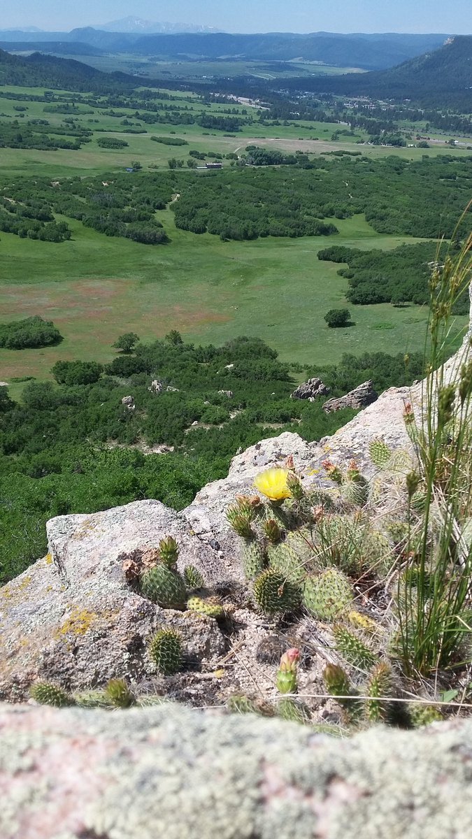 ForestMommy's tweet photo. Post a pic YOU took, use no description, and bring some Zen to the timeline. https://t.co/NIV2HvT9mY
