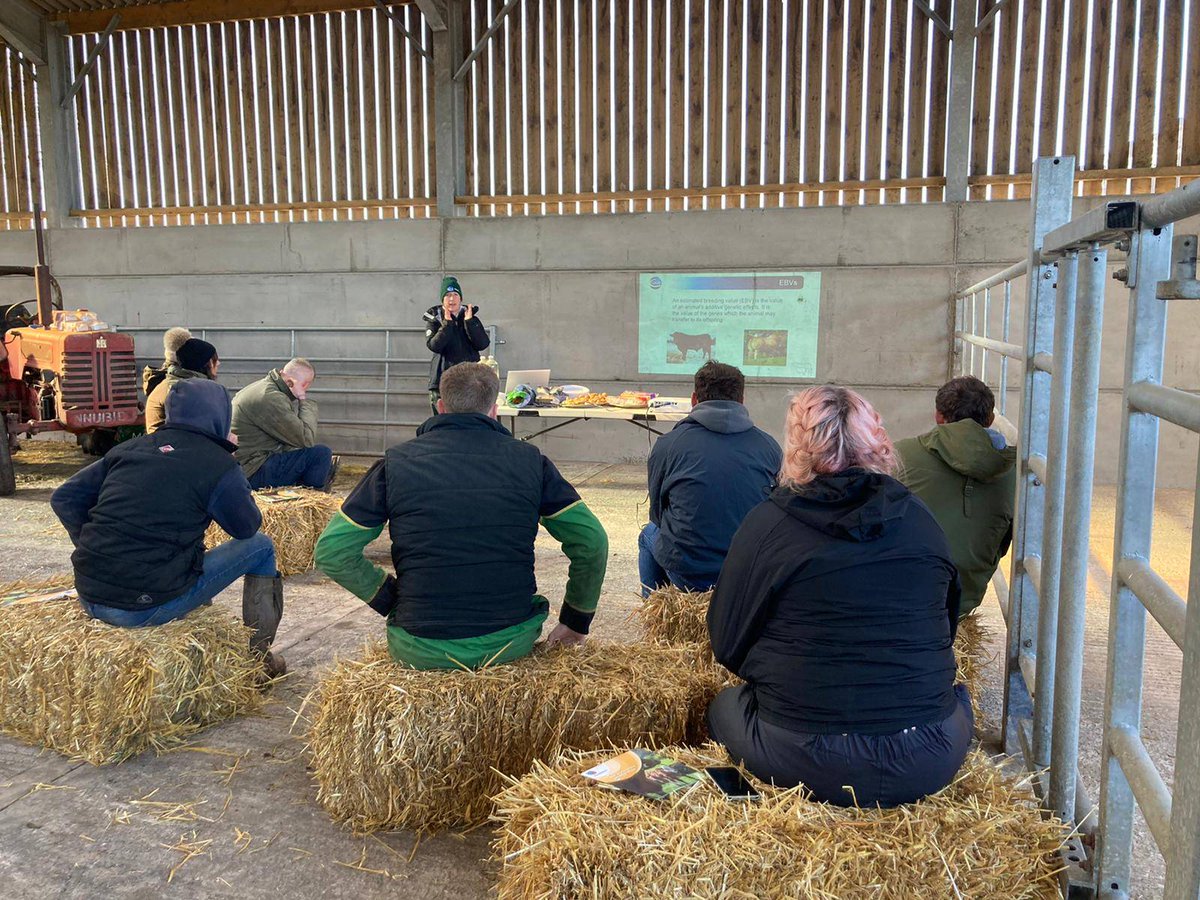 LLMteam's tweet photo. Derbyshire held their beef fertility meeting yesterday covering synchronisation, heifer selection &amp; maximising returns. A lovely sunny day to have a farm walk &amp; see a great bunch of autumn calved heifers of a uniform size!

#derbyshire #beef #britishbeef #llmteam #teambeef https://t.co/KzyYVWpoTk