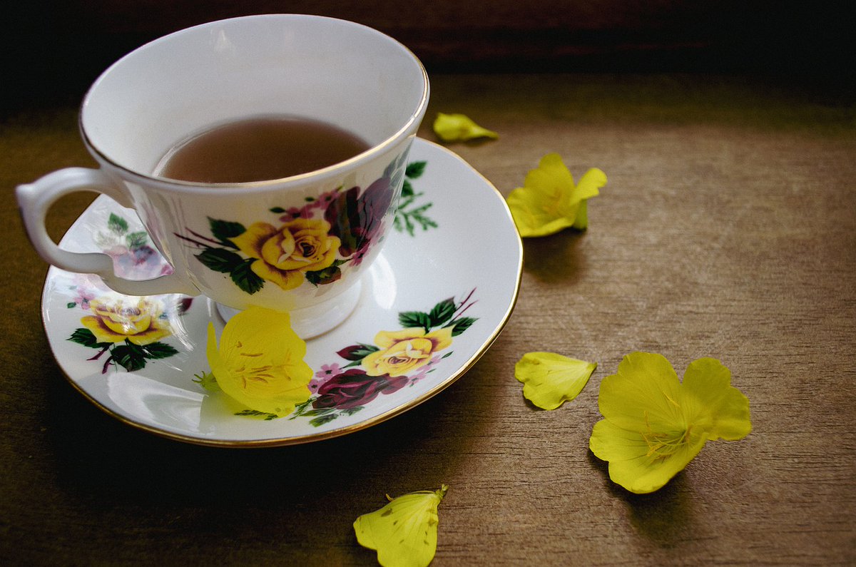 ikelz's tweet photo. If you got a late start today simply keep going. Procrastination is the killer or progress. Have 🍋 🍏 and chamomile 🍃 today for increased energy and assistance. This will affect all especially birthday and expression number 1s.
What’s your #ExpressionNumber?
#Numerology https://t.co/O1nUm3XjqT