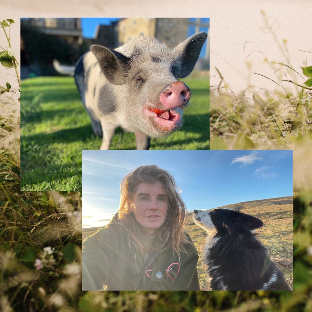 YOU KNOW WHAT TIME IT IS... 👑🌟
-
Brace yourselves for ANOTHER great evening of TV courtesy of <a href="/theyorkshirevet/">The Yorkshire Vet</a> and <a href="/AmandaOwen8/">YorkshireShepherdess</a> and Our Yorkshire Farm on <a href="/channel5_tv/">Channel 5</a> starting from 8pm tonight! 📺
-
SIGN UP FOR SEASON 2 👉 5onthefarm.com/season2/