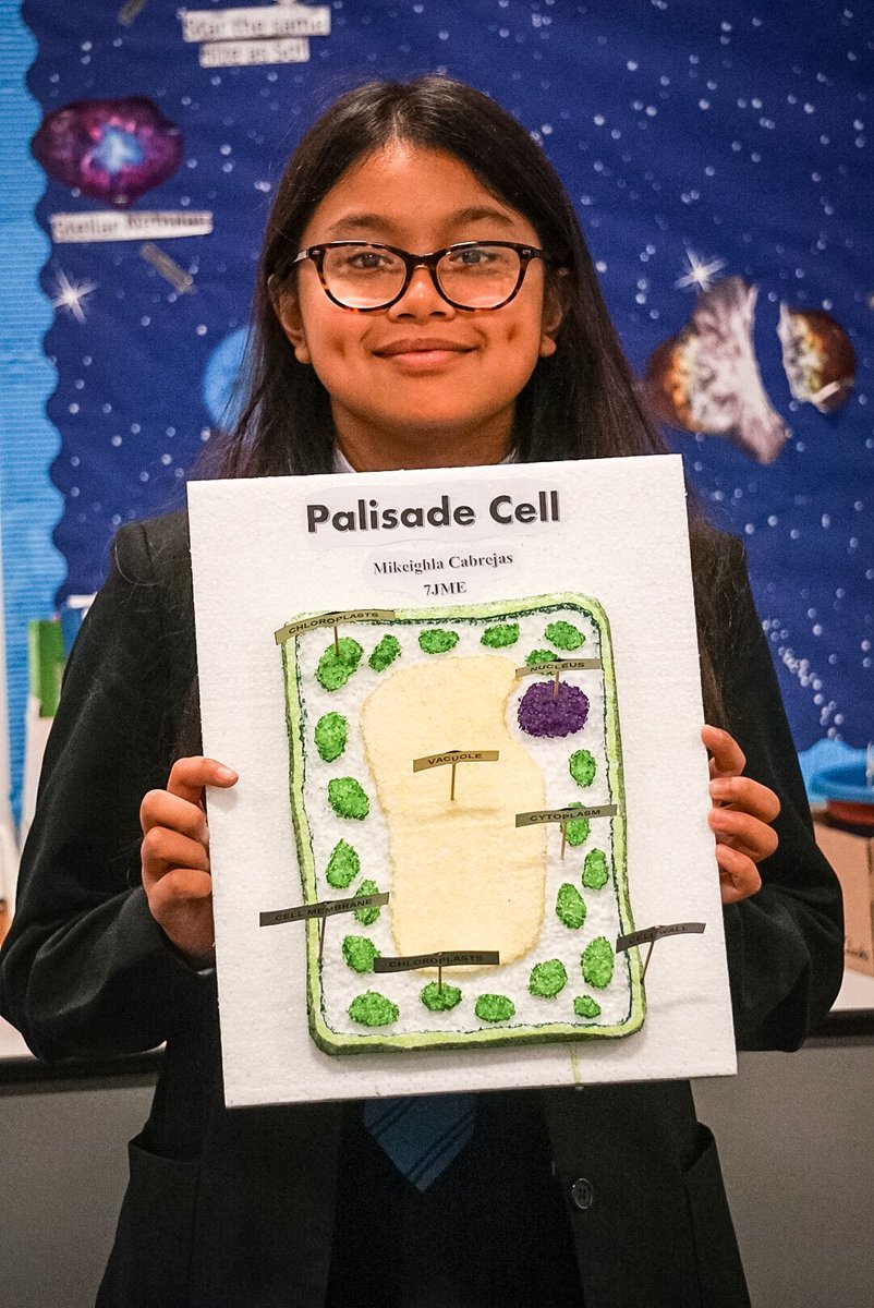 Twickenhamsch's tweet photo. Our Year 7 students proudly displaying their outstanding 3D plant cell models. What a fun homework task! Congratulations on reaching your first half term of secondary school  we are impressed with how much progress you have made in such a short time! #outstanding #BETschools https://t.co/GOyRZBufiO
