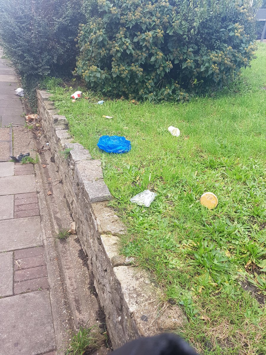 'Apocalypse now'? No, just another day on filthy Haydons Road. Why do we pay a 1st class price for a 3rd class service? Friends in other boroughs report weekly street cleans after collections. Lucky them. @Merton_Council @VeoliaUK #muckymerton