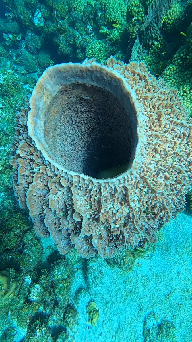 Sara Lynn Burnett tweet media