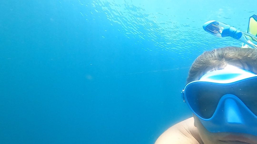 Sara Lynn Burnett tweet media