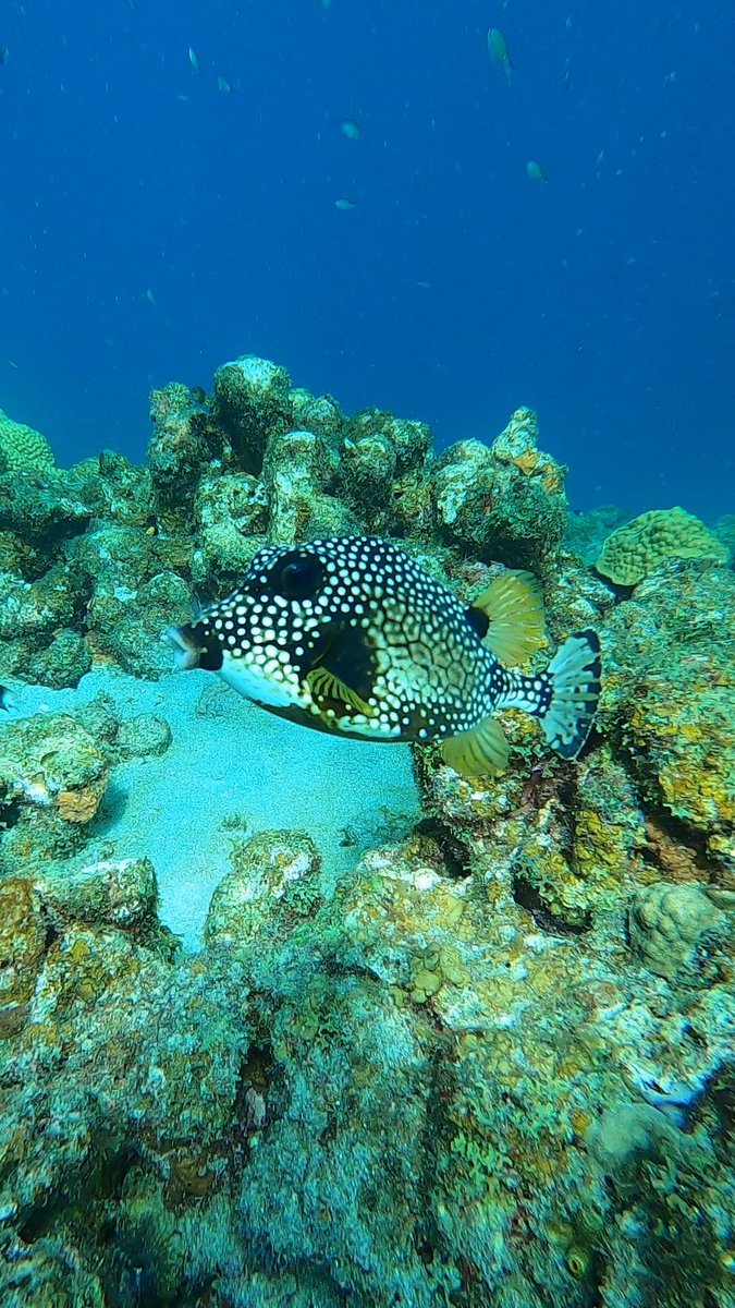 Sara Lynn Burnett tweet media