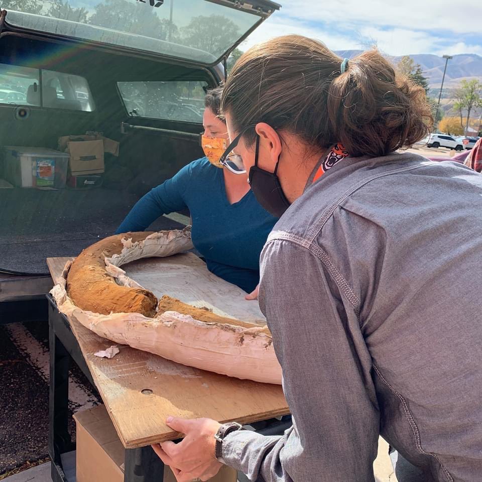 IMNH208's tweet photo. Our #paleontology collections are active & growing. Curator of Paleontology, @_gondwannabe_, accepts new material from @usbr, including awesome #mammoth tusks! We're happy new specimens are part of the permanent public trust as #RelevantResearch #collections grow #FossilFriday https://t.co/yQ4igAVz3N