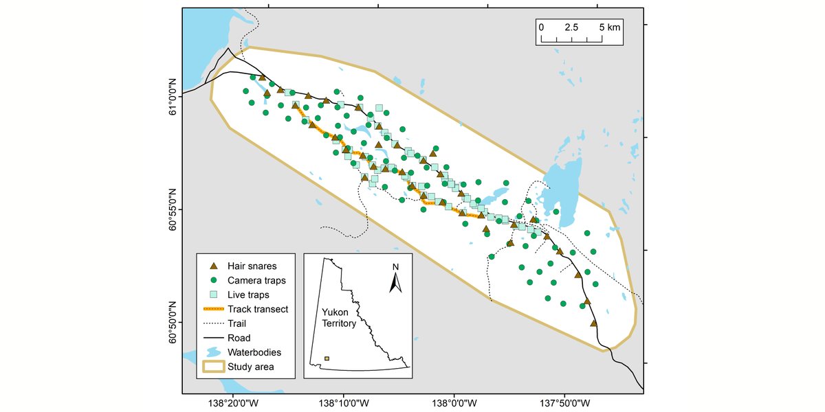 ESAEcosphere's tweet image. From our #Methods, Tools, & Technologies track:
Different #DensityEstimation approaches can produce wildly different numbers - even when method assumptions are met
doi.org/10.1002/ecs2.3…
#CanadaLynx #OpenAccess
@dardormy @StanBoutin @ClaytonTLamb @ekstudd @akmenzies