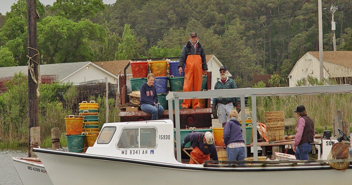 Piney Point Lighthouse Museum & Historic Park tweet media