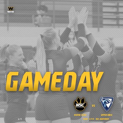 wscwildcats's tweet image. WILDCAT GAMEDAY - @WSCWildcatVB hosts Upper Iowa tonight at 6 p.m. in Rice Auditorium.  Come out and cheer on the 'Cats.