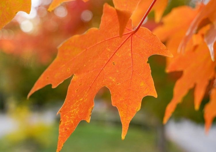 City of Boulder tweet media