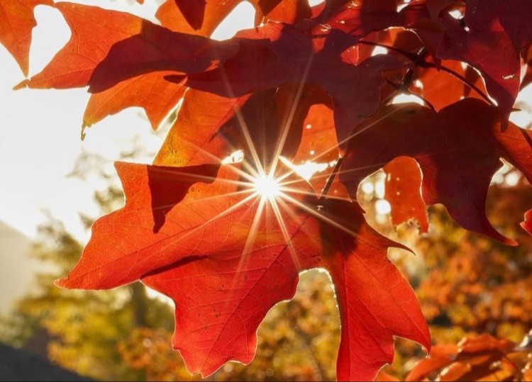 City of Boulder tweet media