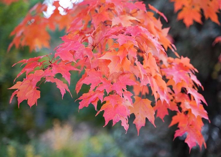 City of Boulder tweet media
